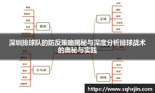 深圳排球队的防反策略揭秘与深度分析排球战术的奥秘与实践