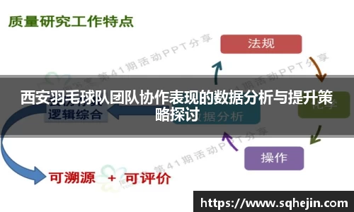 西安羽毛球队团队协作表现的数据分析与提升策略探讨